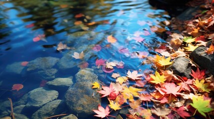 Fototapeta na wymiar Colorful fall leaves in pond lake water