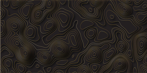 Abstract black background with golden gradient Topographic line map and shadows . Contour elevation topographic and textured Background Modern design White background with topographic wavy pattern .