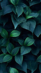 leaves nature background, closeup leaves texture, tropical leaves, seamless pattern