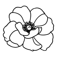Hand drawn simple flower illustration