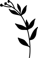 Birth month flower Line Art.