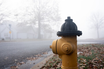 Close-up of fire hydrant next to residential road surrounded by fog - Powered by Adobe