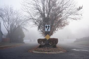 Neighborhood street signs on a median surrounded by fog in the fall