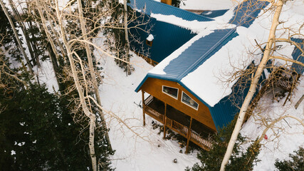 Wooden cabin in trees covered with snow