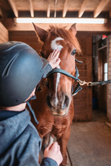 Young boy petting horse on forehead in stable