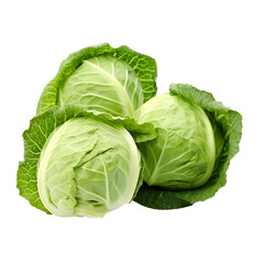 a head of cabbage with leaves - obrazy, fototapety, plakaty