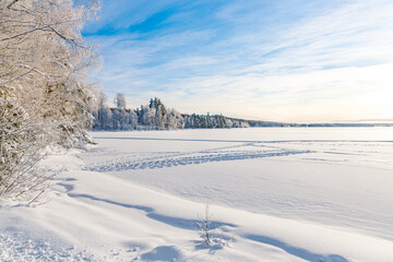 Swedish winter scene with ice, snow and parts of a lake and birch trees.