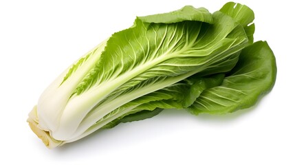 Fresh pak choi cabbage isolated on white background. - obrazy, fototapety, plakaty