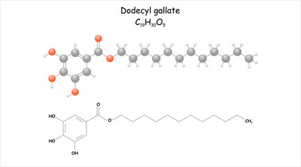 Stylized molecule model/structural formula of dodecyl gallate.