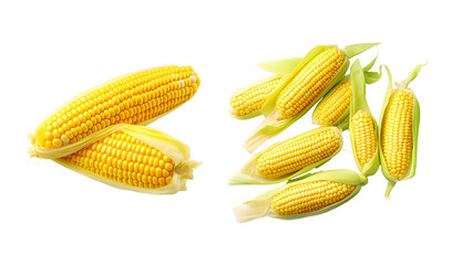 Fresh corn isolated on white background.