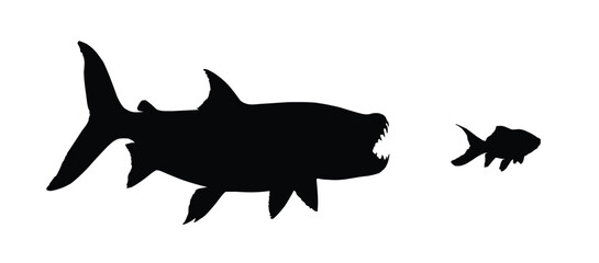 The Silhouettes of a wild predatory marine fish.
