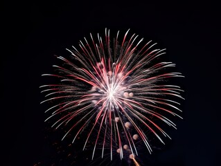 Fototapeta premium fireworks &nbsp;light up the sky Abstract colored firework background&nbsp;