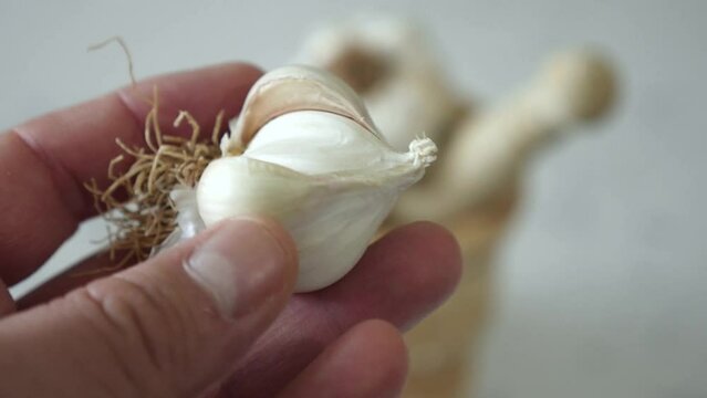 wooden garlic mortar and garlic standing next to it,