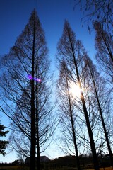 Amanhecer entre Gigantes