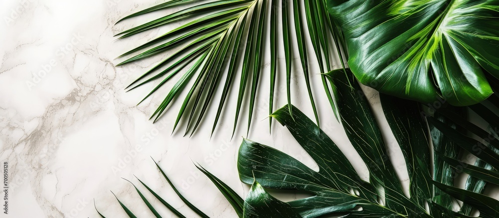 Aufkleber invitation card mockup with palm tree leaf decoration top view. creative banner. copyspace image