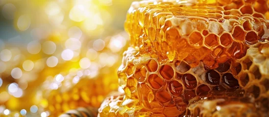 Zelfklevend Fotobehang appetizing delicious natural honey in wax combs flows out of honeycombs pieces of honey in honeycombs. Creative Banner. Copyspace image © HN Works
