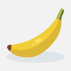 Vector illustration of fresh banana