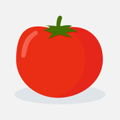 Vector illustration of fresh tomato