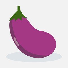 Vector illustration of fresh eggplant