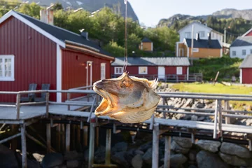 Fototapete Rund A dried fish head hanging on a hook with traditional red Norwegian Rorbu cabins and a rugged landscape in the background, capturing the essence of Nordic coastal life © Artem