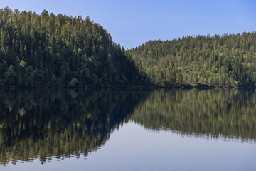 Captivating summer panorama of Snasavatnet in Steinkjer, Norway, where dense forests elegantly reflect on the lake's tranquil, pristine waters beneath a sun-drenched, clear blue sky