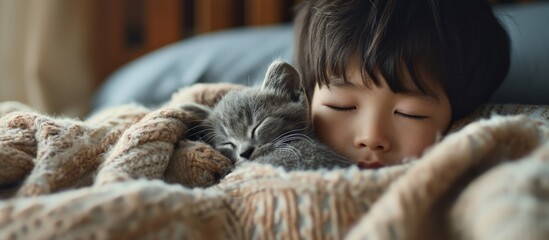 little asian boy with grey kitten lie on a white pillow and covered with a white blanket Child and cat Kids and pets Little kid with his animal Toddler and kitty sleep. Creative Banner - obrazy, fototapety, plakaty