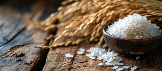 Cooked rice with dry ears of jasmine rice and wooden table. Creative Banner. Copyspace image