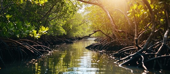 An impressive image of a mangrove forest stretching towards the horizon displaying its vital role in coastal protection and biodiversity conservation. Creative Banner. Copyspace image