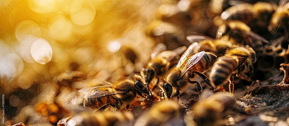 Poster a close up shot of bees in a bee hive with honey combs working together at the middle of the day producing honey. Creative Banner. Copyspace image