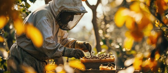 Beekeeper removing honeycomb from beehive Person in beekeeper suit taking honey from hive Farmer wearing bee suit working with honeycomb in apiary Beekeeping in countryside Organic farming