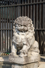 Chinese imperial guardian lion in front of temple