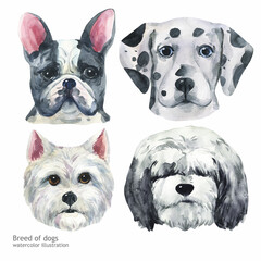 Portrait cute dog set isolated on a white background. Watercolor hand-drawn illustration. Popular breed dog. Greeting card design. 