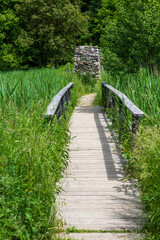 small old bridge in the forest