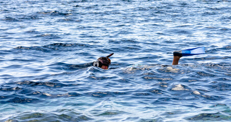  young girl in a swimming mask and snorkeling swims in the sea in Egypt Dahab South Sinai