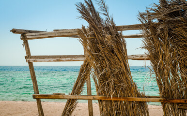 dry palm branches on the background of the sea and clear sky close up