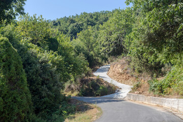 Fototapeta na wymiar Road to the mountains near the village (Pelion, Magnesia, Greece)