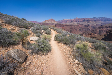 hiking the tonto trail in the grand canyon national park, arizona, usa