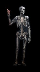 Fototapeta na wymiar 3D render skeleton isolated full human illustration image Ai generated art