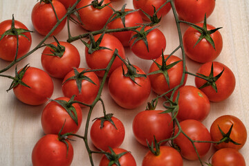 Małe pomidorki koktajlowe na gałązce z bliska