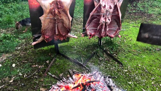 Traditional Argentinian asado, lamb and piglet slow-cooked over a wood fire and brushed with a spicy chimichurri sauce, Patagonia, Argentina, France, High quality FullHD footage