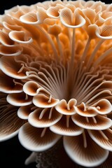 Intricate patterns and textures of the gills underneath a mushroom cap, revealing its unique structure, background image, generative AI