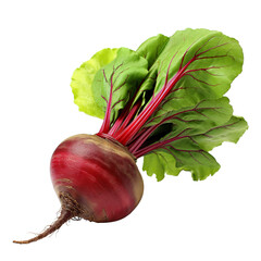 Fresh beet with leaves, cut out - obrazy, fototapety, plakaty