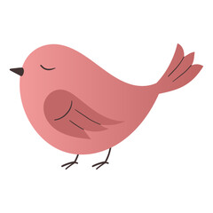 pink little bird illustration