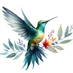 Fototapeta premium colorful calibri bird flying on white background