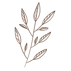 doodle leaves decoration