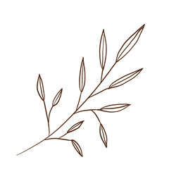 doodle leaves decoration