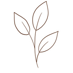 doodle leaves decoration