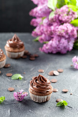 Chocolate cupcakes. Freshly baked homemade cupcakes with mint leaves and lilac flowers on a gray background. Home baking concept. Soft focus