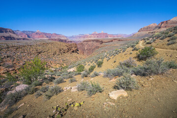 hiking the tonto trail in the grand canyon national park, arizona, usa