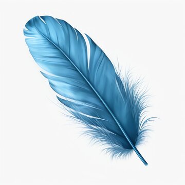 a blue feather on a white background